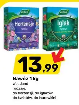 Bricomarche Nawóz 1 kg Westland oferta