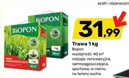 Bricomarche Trawa 1 kg Bopon oferta