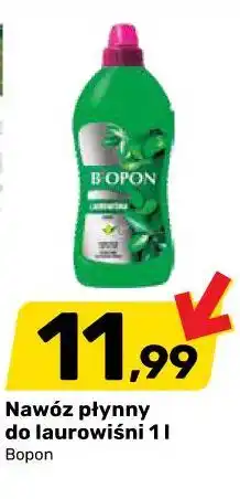 Bricomarche Nawóz płynny do laurowiśni 1 l Bopon oferta