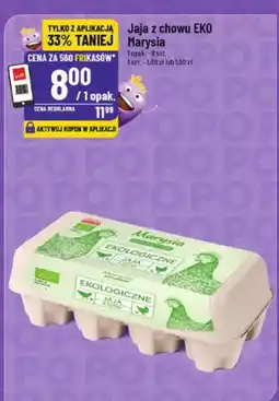 Polomarket Jaja z chowu ekologicznego oferta