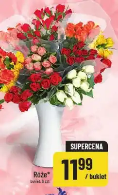 Polomarket Róże oferta