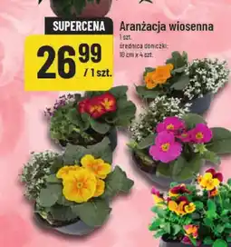 Polomarket Aranzacja wiosenna oferta