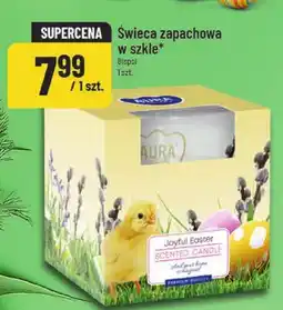Polomarket Świeca zapachowa w szkle oferta