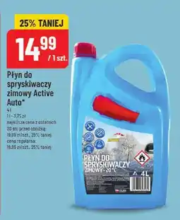 Polomarket Płyn do spryskiwaczy zimowy Active Auto oferta