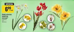 Polomarket Kwiat sztuczny żonkil lub storczyk oferta