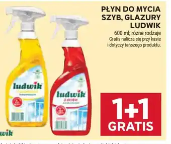 Stokrotka Płyn do mycia szyb Ludwik oferta