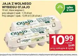 Stokrotka Jaja z wolnego wybiegu O!Jajo oferta