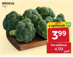Stokrotka Brokuł oferta