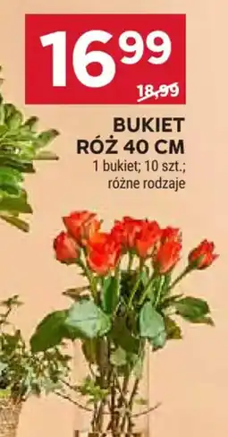 Stokrotka Bukiet Róż 40 cm oferta