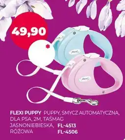 Moby Dick Flexi puppy puppy, smycz automatyczna, dla psa, 2m, taśmag oferta