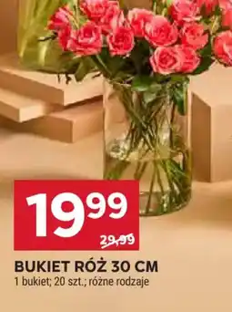 Stokrotka Bukiet róż 30 cm oferta