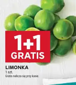 Stokrotka Limonka oferta