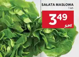 Stokrotka Sałata masłowa oferta