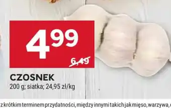 Stokrotka Czosnek oferta
