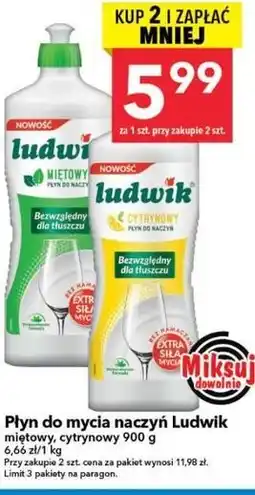 Lewiatan Płyn do mycia naczyń Ludwik miętowy, cytrynowy oferta
