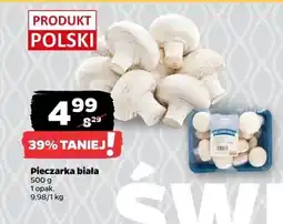 Netto Pieczarka biała oferta