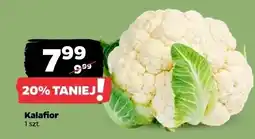Netto Kalafior oferta