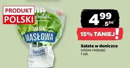 Netto Sałata w doniczce (różne rodzaje) oferta