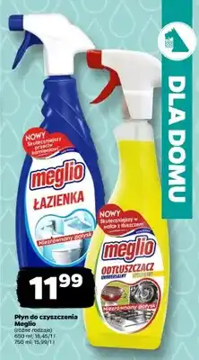 Netto Płyn do czyszczenia odtłuszczacz uniwersalny oferta