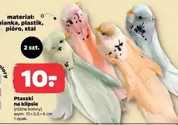 Netto Ptaszki na klipsie oferta