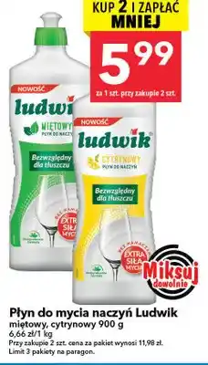 Lewiatan Płyn do mycia naczyń miętowy, cytrynowy Ludwik oferta