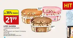 Chata Polska Lody oferta