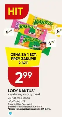 Chata Polska Lody kaktus wybrany asortyment oferta