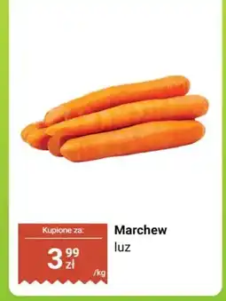 Biedronka Marchew luz oferta