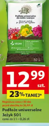Auchan Podłoże uniwersalne Jeżyk oferta