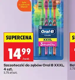 Biedronka Szczoteczki do zębów Oral B XXXL oferta