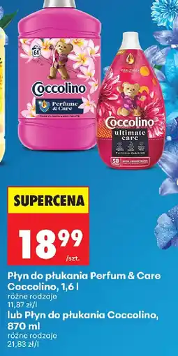 Biedronka Coccolino płyn do płukania oferta