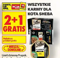 Biedronka Sheba karmy dla kota oferta
