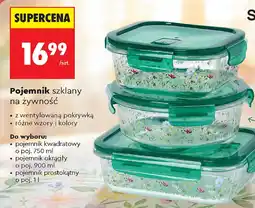 Biedronka Pojemnik szklany na żywność oferta