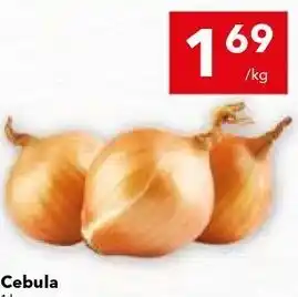 Lewiatan Cebula oferta
