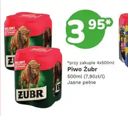 Limonka Piwo Zubr oferta