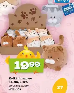 Twój Market Kotki pluszowe 14 cm oferta