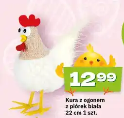 Twój Market Kura z ogonem z piórек biała oferta