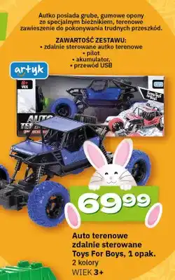 Twój Market Auto terenowe zdalnie sterowane Toys For Boys, 1 opak oferta