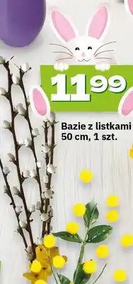 Twój Market Bazie z listkami 50 cm oferta