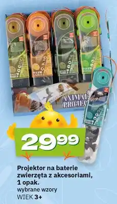Twój Market Projektor na baterie zwierzęta z akcesoriami, 1 opak oferta