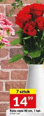 Twój Market Róża cięta 40 cm 7 sztuk oferta