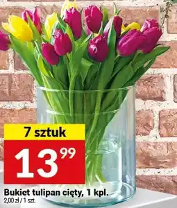 Twój Market Bukiet tulipan cięty 7 sztuk oferta