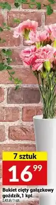 Twój Market Bukiet cięty gałązkowy goździk 7 sztuk oferta