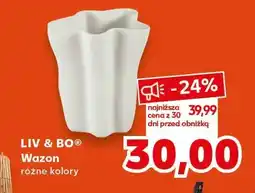 Kaufland Wazon różne kolory oferta