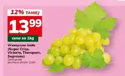 Hitpol Winogrona białe Sugar Crisp, Victoria, Thompson, Sugraone oferta