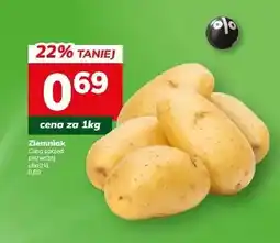 Hitpol Ziemniak oferta