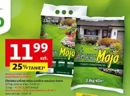Auchan Trawa uniwersalna mieszanka nasion oferta