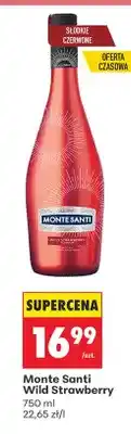 Biedronka Wino Wild Strawberry oferta