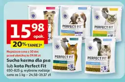 Auchan Sucha karma dla psa lub kota oferta