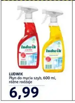 Blue Stop Ludwik Płyn do mycia szyb oferta